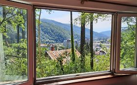 Tudor View Apartament